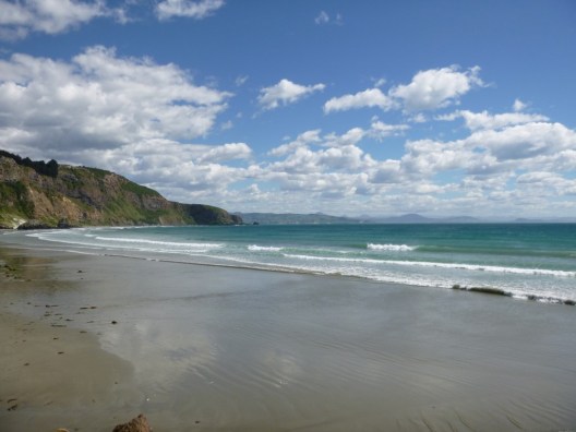 NZ-Surf-Guide_Aramoana-North